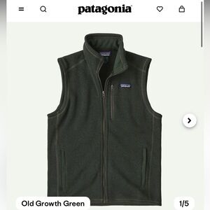 Patagonia Men's Old Growth Green Fleece Vest
